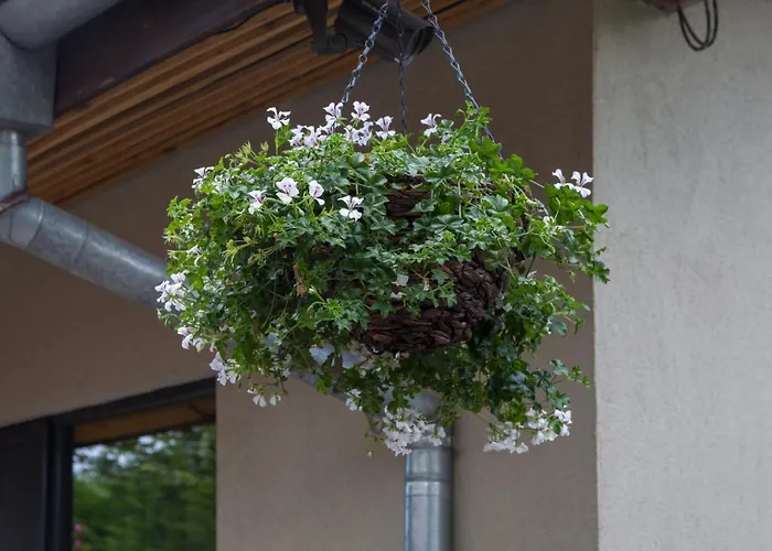 Kabakum House Holiday home